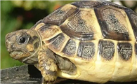 http://www.hndexu.com/news/53b999175.html