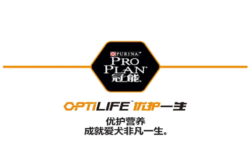 http://www.hndexu.com/news/95d998982.html