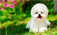 http://www.hndexu.com/news/60a999294.html