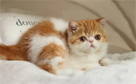 http://www.hndexu.com/news/21a999274.html
