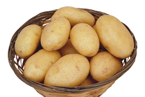 �R�薯